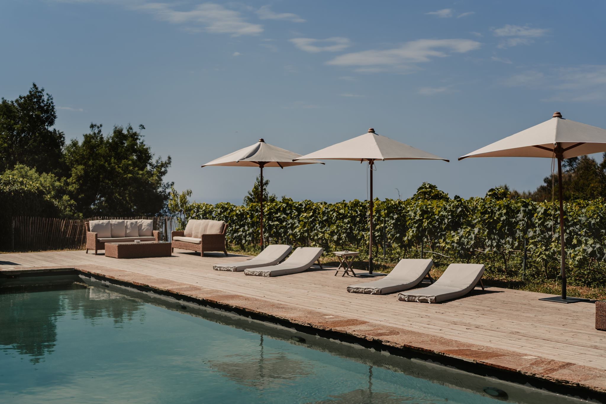 Terrasse et piscine surplombant les vignes, hôtel de prestige en Provence